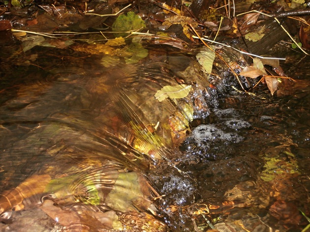 Z dnešného zablúdenia do prírody