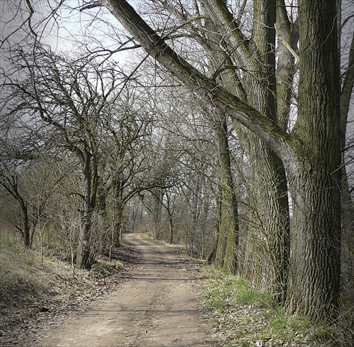 cestička do prirody