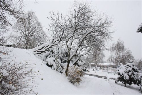 Nasnežilo