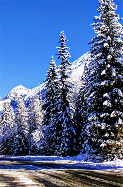 Vysoké Tatry pri ceste