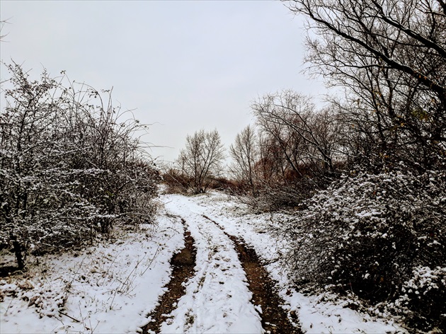 príroda okolo rieky Váh