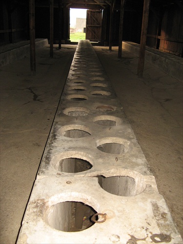 Auschwitz Birkenau