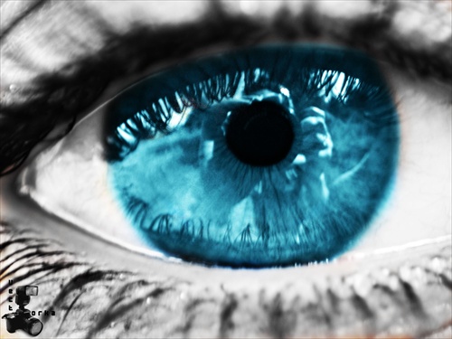 eye