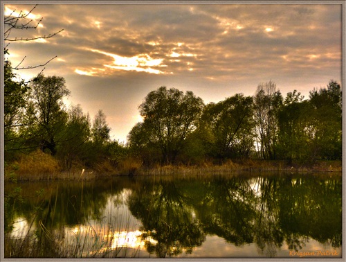 Spring Landscape