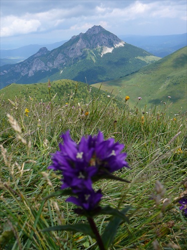 Vratna pohlad na Rozsutec