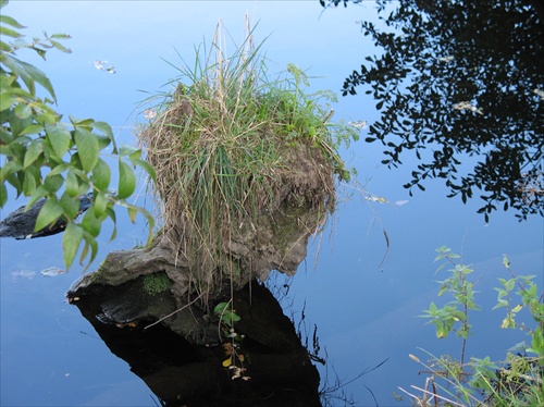 Lochnesska prisera existuje!