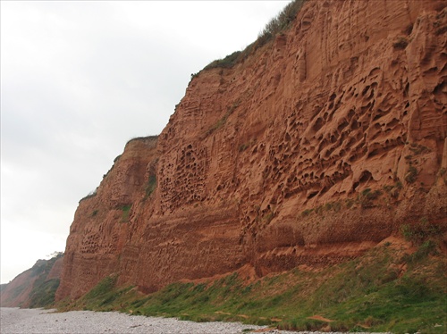 Jurske pobrezie, Devon