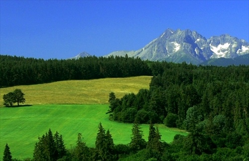 vysoké Tatry od Toporca