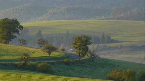 Markušovská cesta