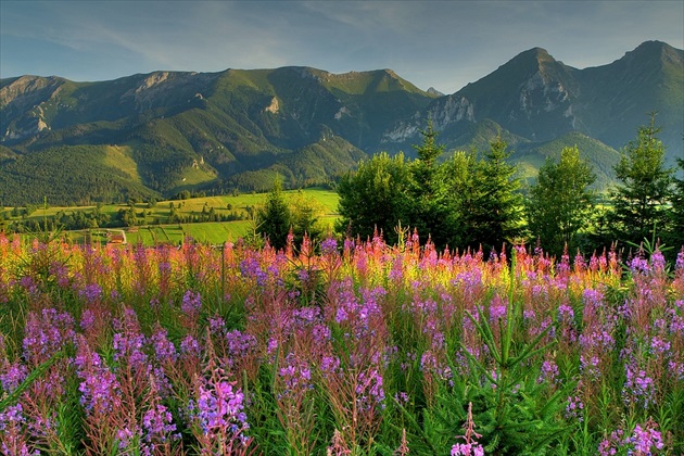 Belianske Tatry