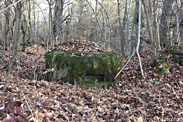 bunker