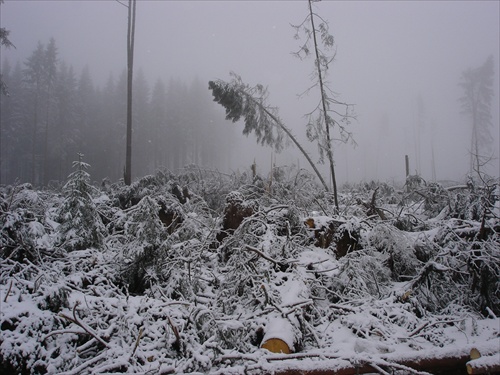 Tatry 2004 I