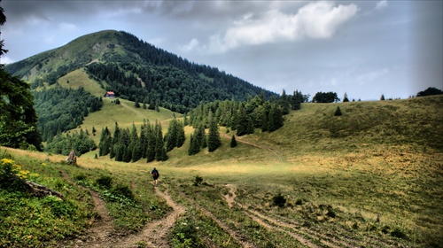 Cesta na Borišov