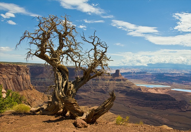 Dead horse point Utah