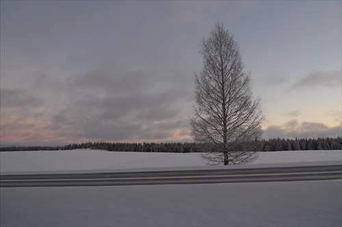 Fínska krajina