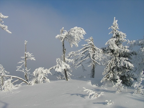 Vtáčnik