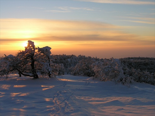 Vtáčnik