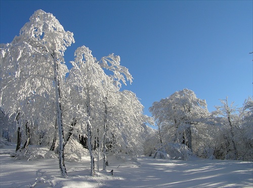 Vtáčnik