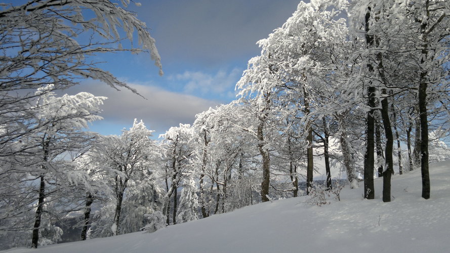 Vtáčnik s3.2.