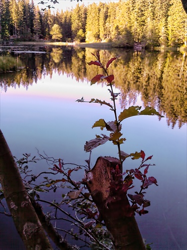 Vrbicke pleso 3