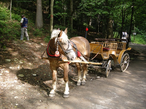 Otoč sa