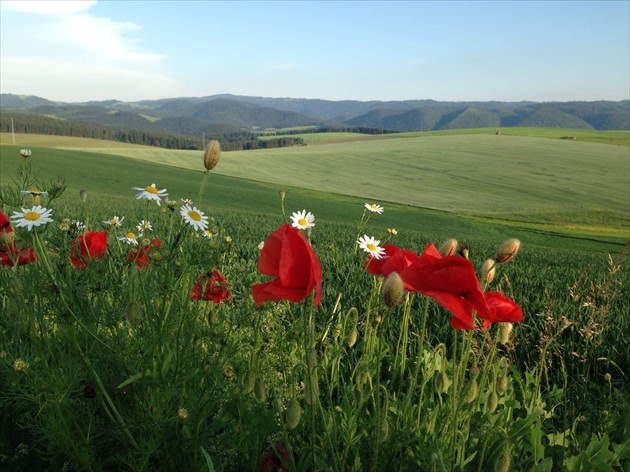 Letná krajina na Spiši