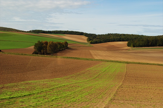 harmónia