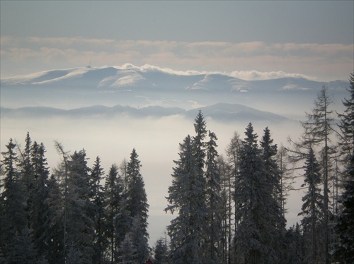 Nad končiarmi