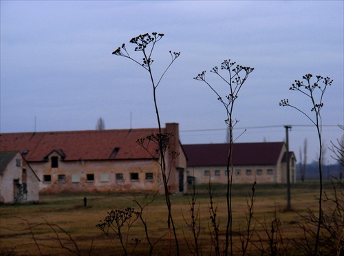 družstvo