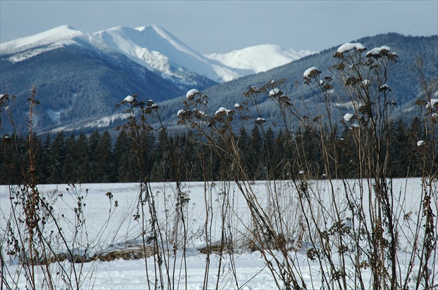 podhorska priroda