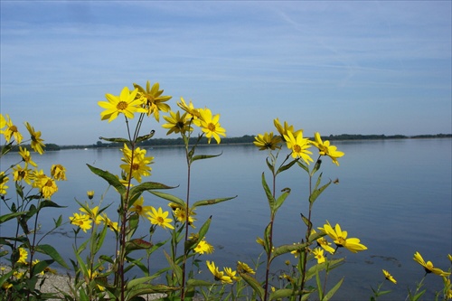 Kaskády