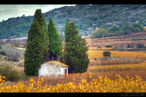 la Cabane