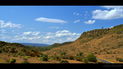 la Garrigue