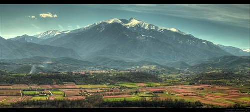 Broskyňové sady (pod Canigou) ešte raz