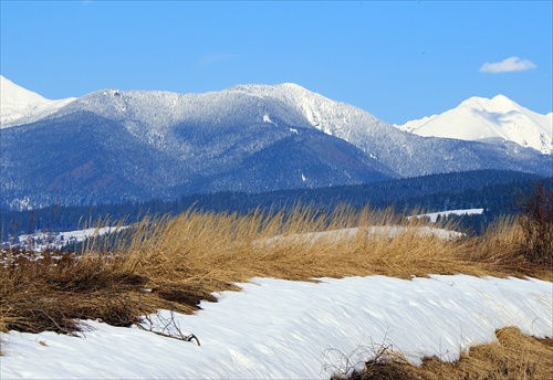 zimno-jarná