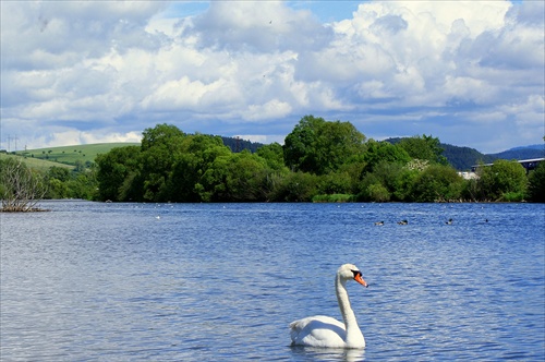 kráľovna rieky