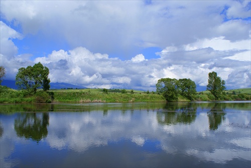 rybníková zrkadlovka