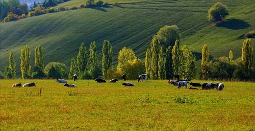 vyhrievanie