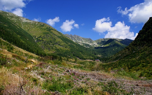 smer Žiarske sedlo