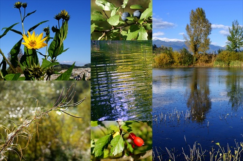 pohľadnica jesene