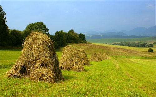 vôňa rodnej hrudy