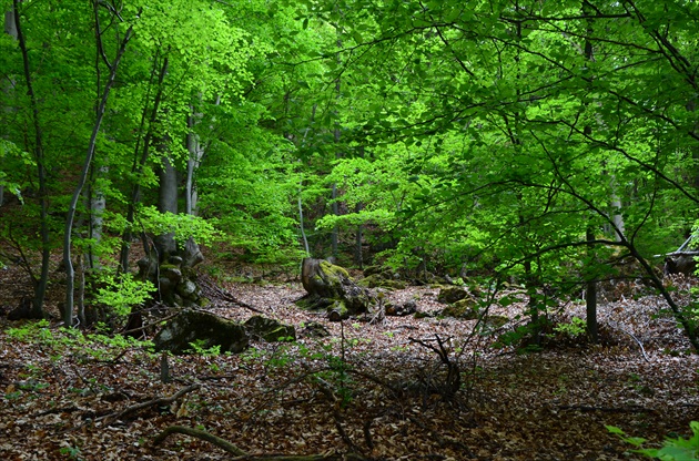 Omšenská baba