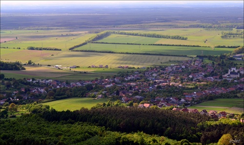 Sološnica