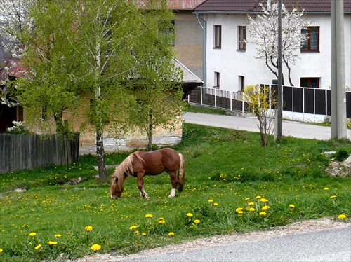 Na Telgarte.