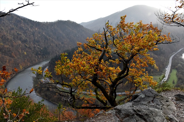 zamaskovaný meander