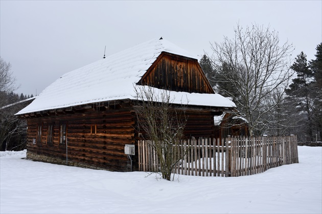 škola