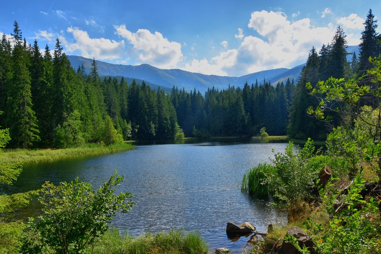 Vrbické pleso