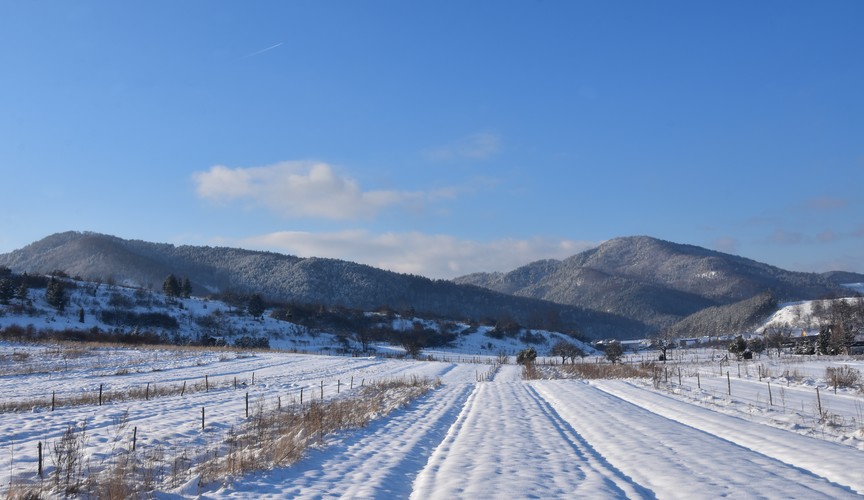 zasnežené polia