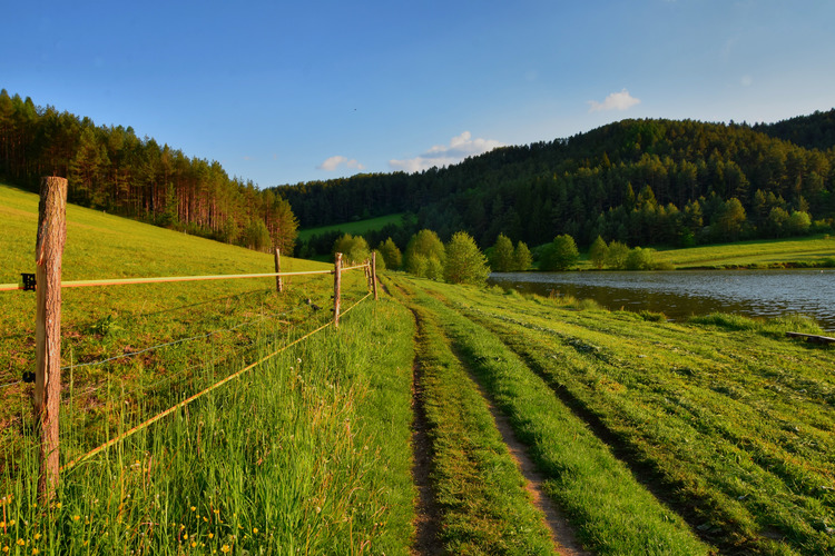 cestičkou