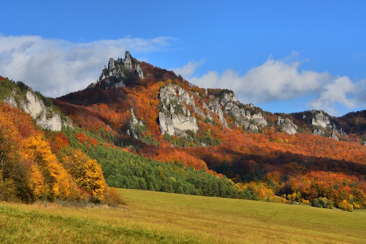 Súľovské skaly